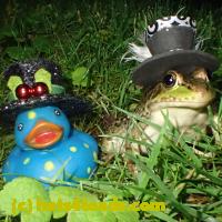 /home//u458753944/public_html/sourcegallery///Frogs/More bullfrogs/P6180707.JPG